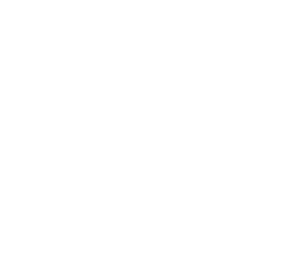 BOSS Group