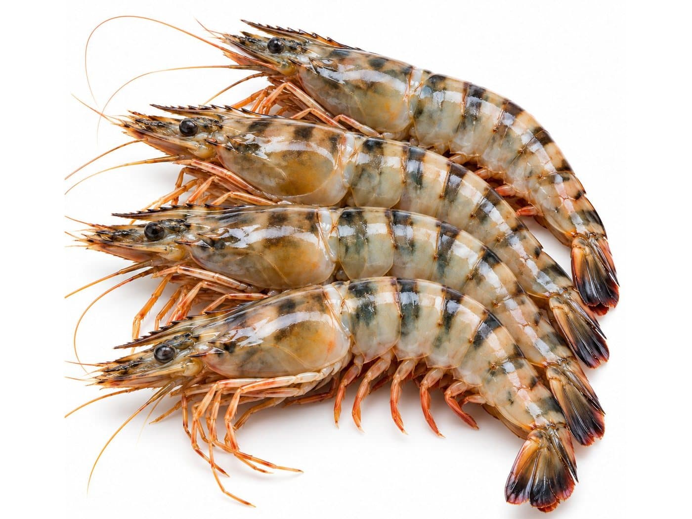 Whole raw tiger prawns