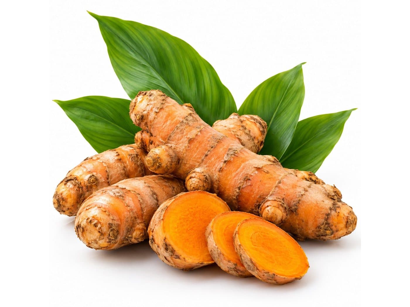 Fresh turmeric roots, whole and sliced